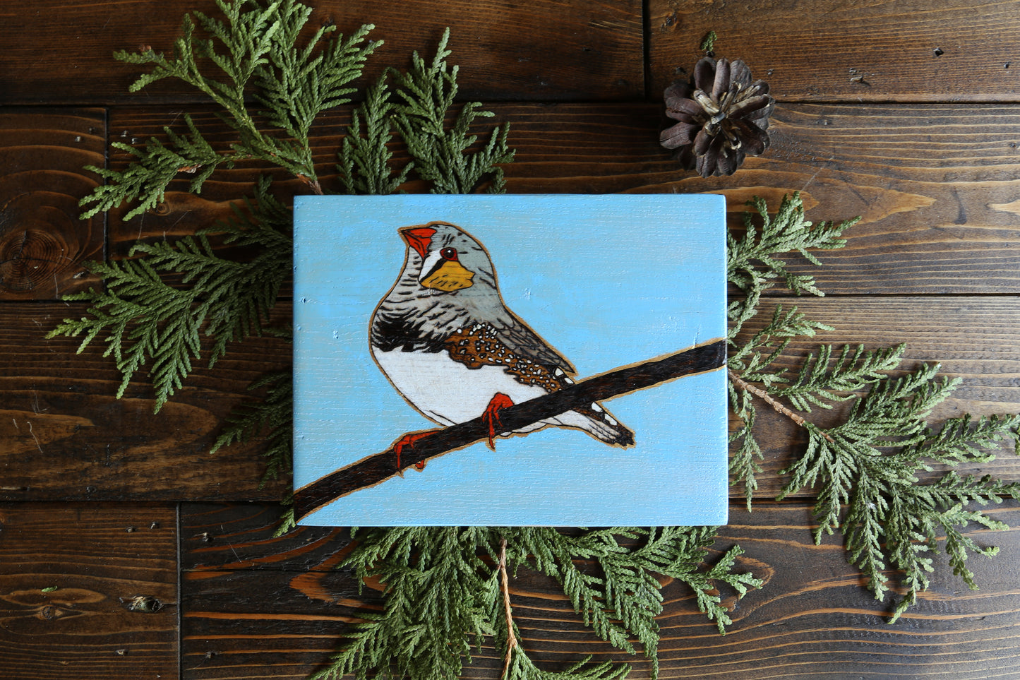 Zebra Finch