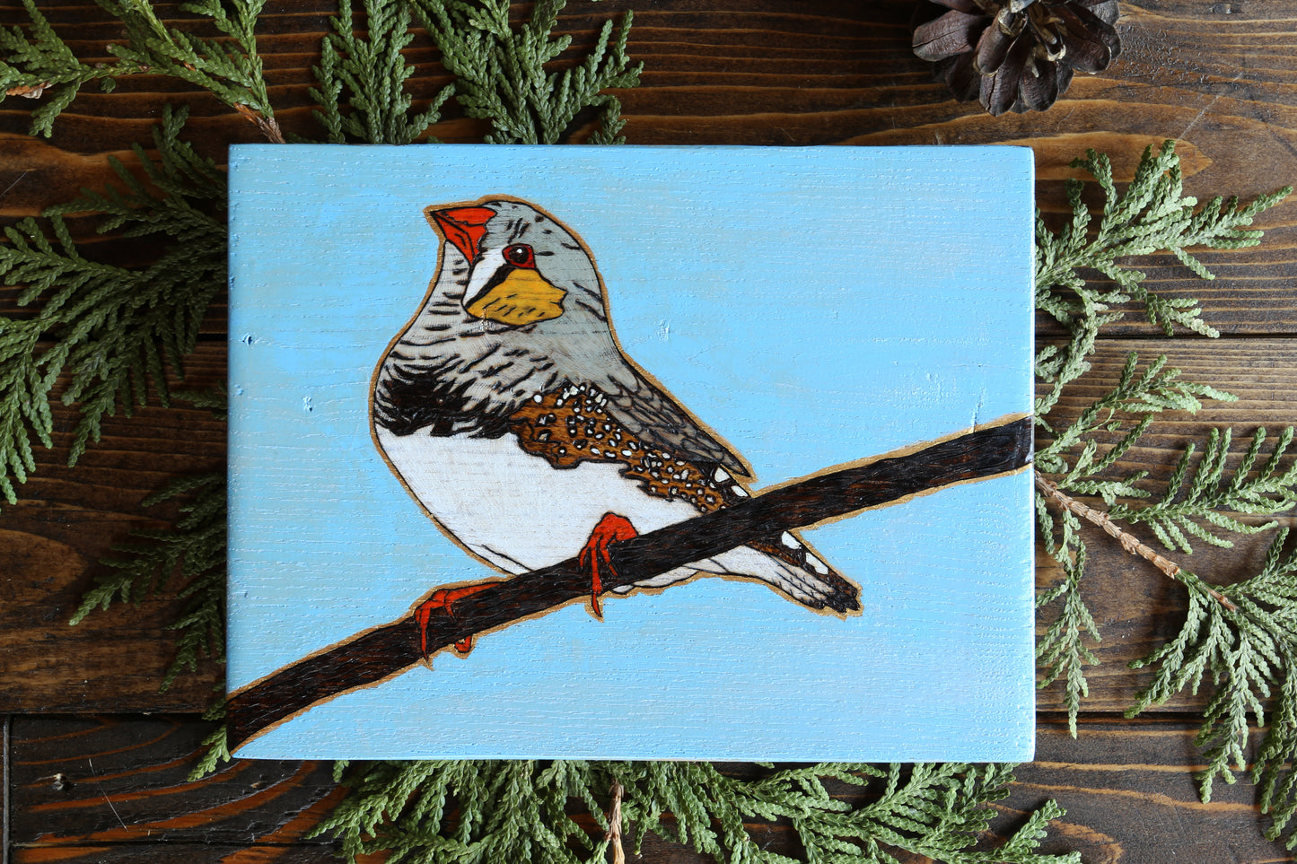 Zebra Finch