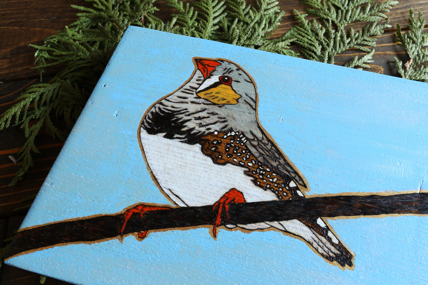 Zebra Finch