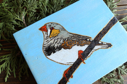 Zebra Finch