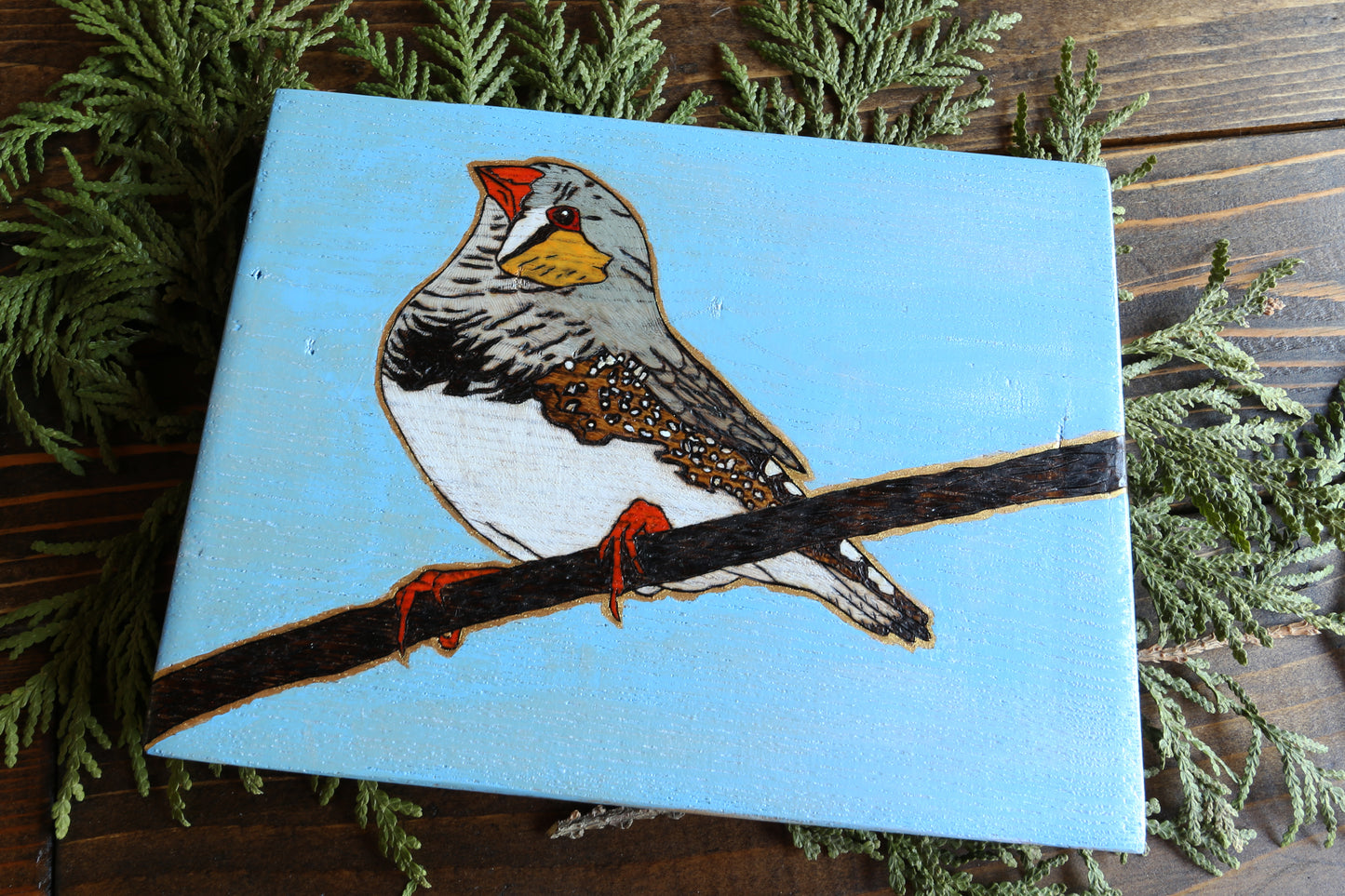 Zebra Finch