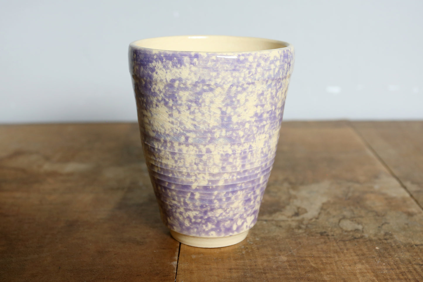 Light Violet Sponged Cup