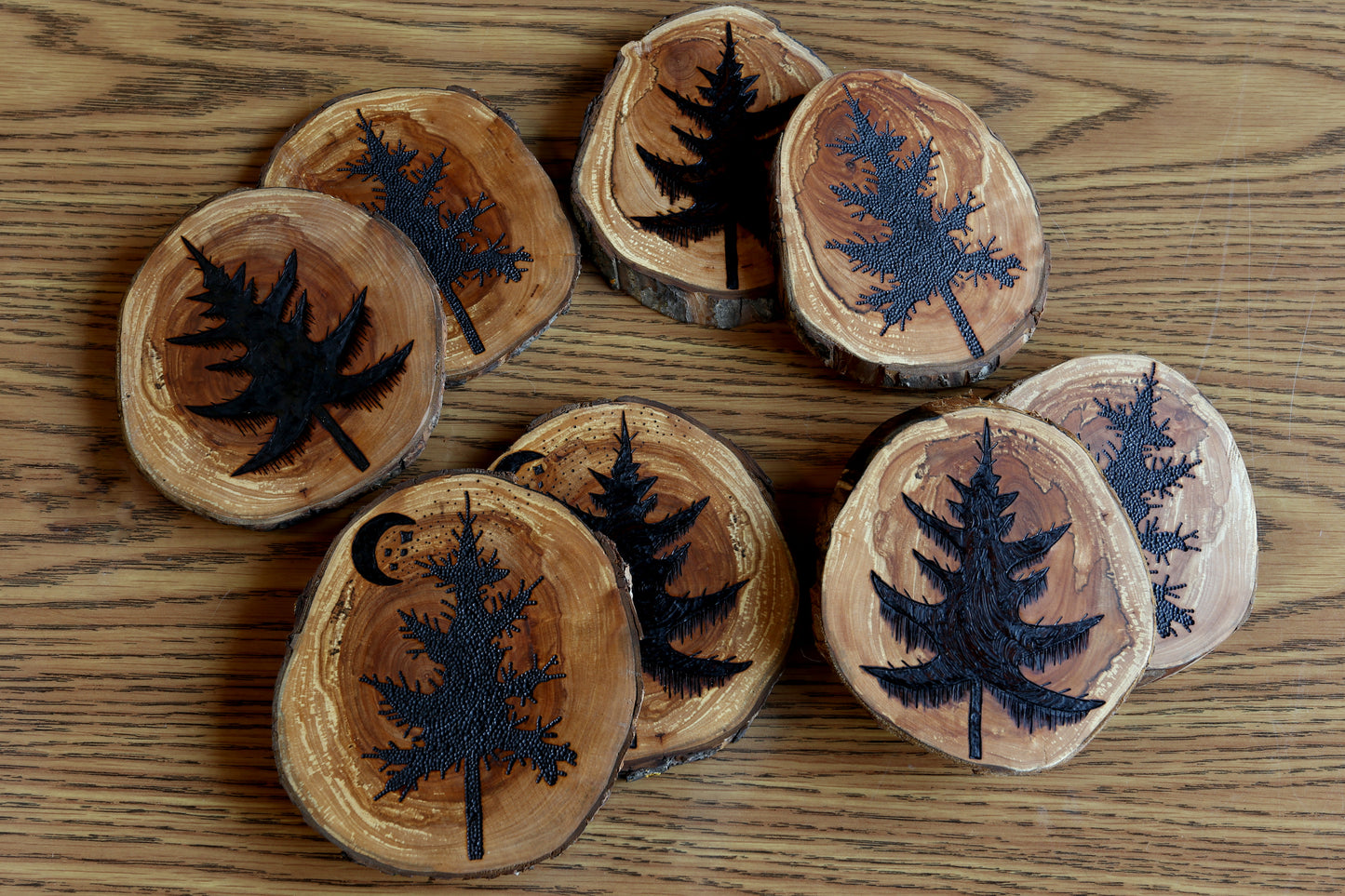 Pine Tree Coaster Sets