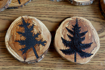 Pine Tree Coaster Sets