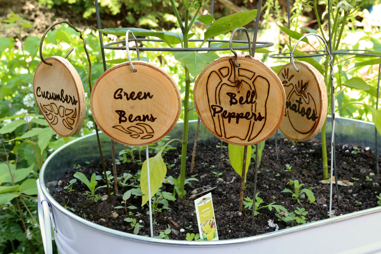 Plant Markers